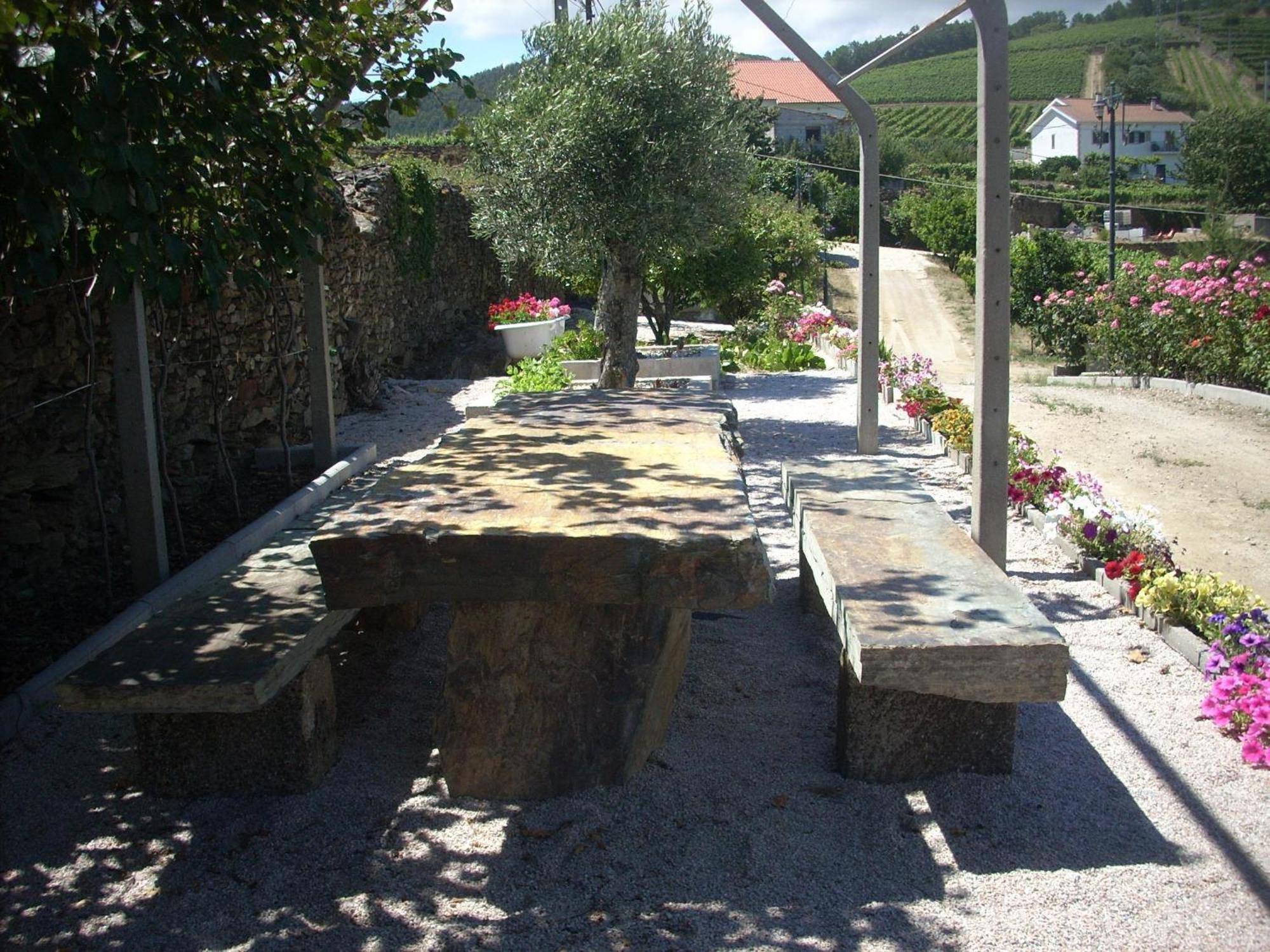 Casa Da Jesus Villa Provesende Buitenkant foto