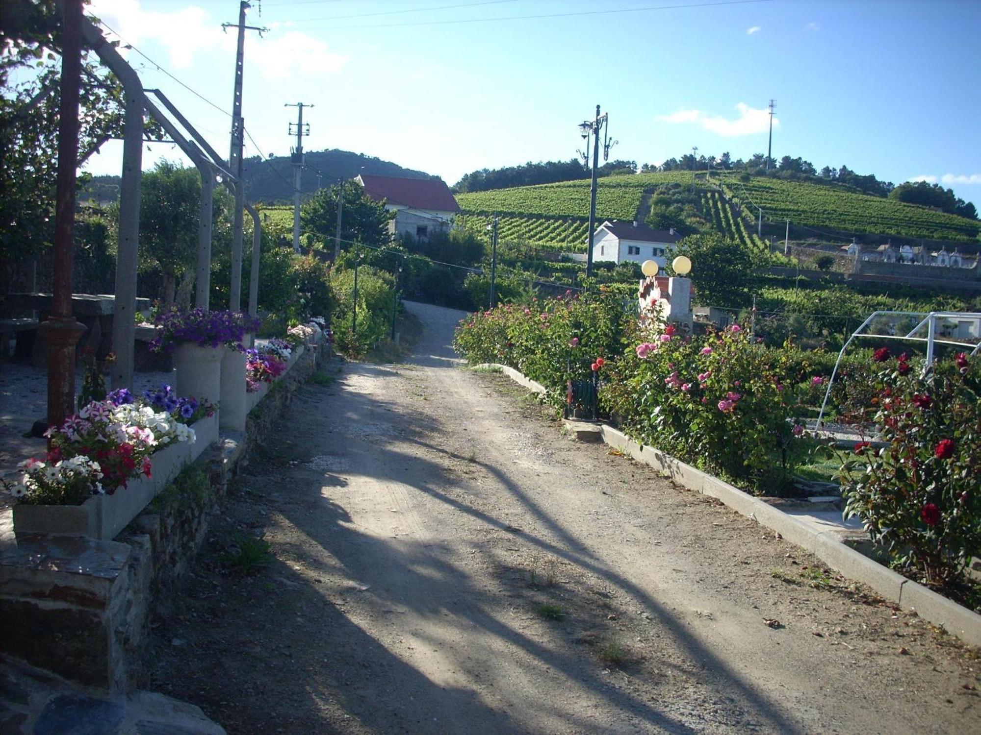 Casa Da Jesus Villa Provesende Buitenkant foto