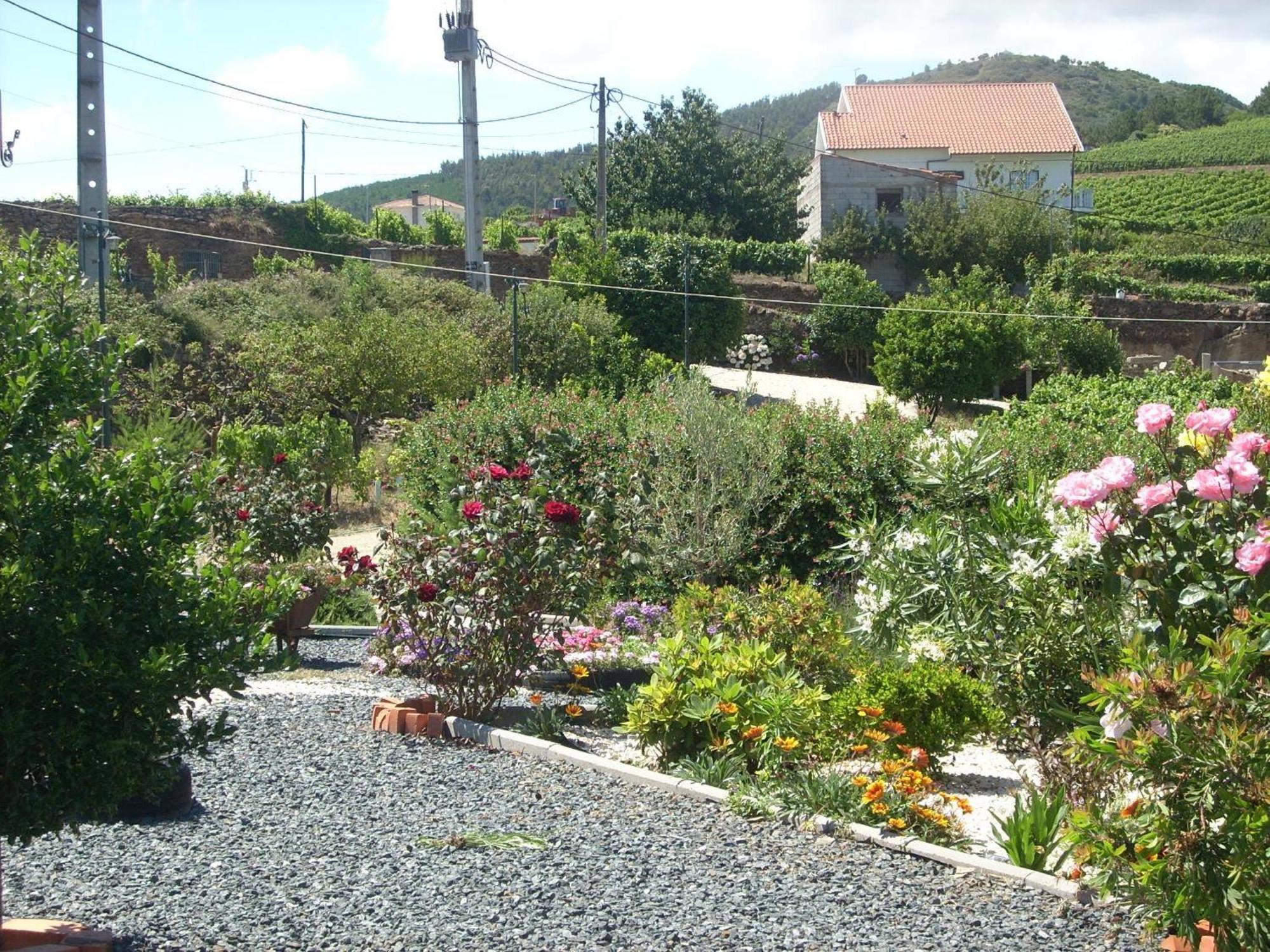 Casa Da Jesus Villa Provesende Buitenkant foto
