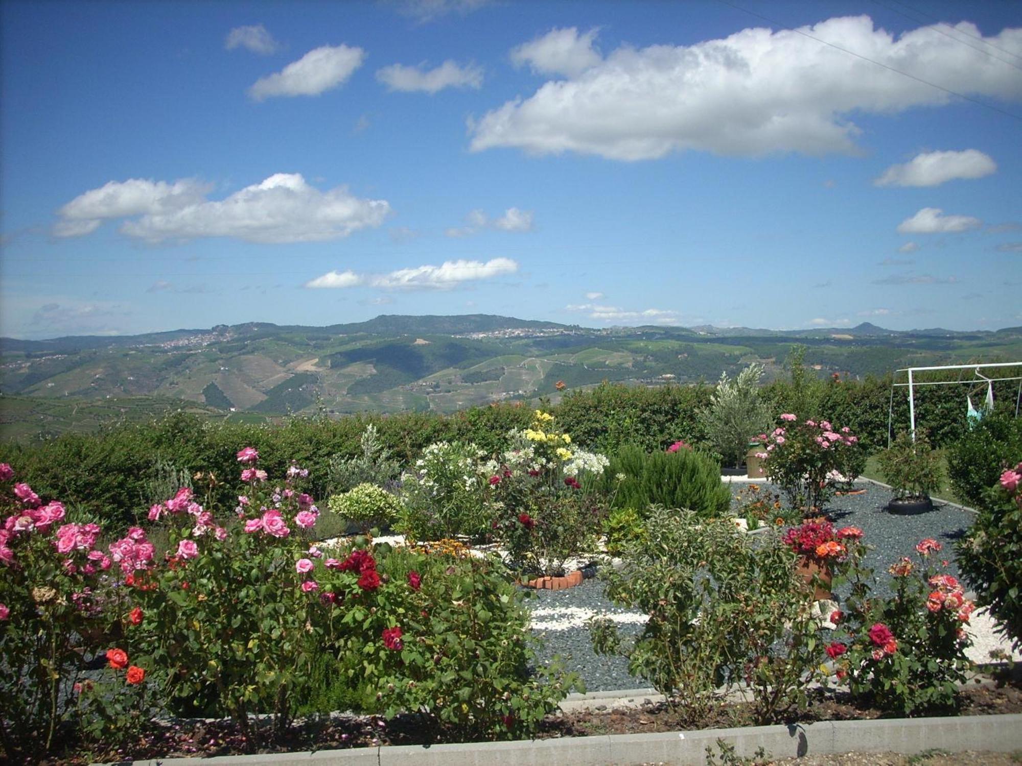 Casa Da Jesus Villa Provesende Buitenkant foto