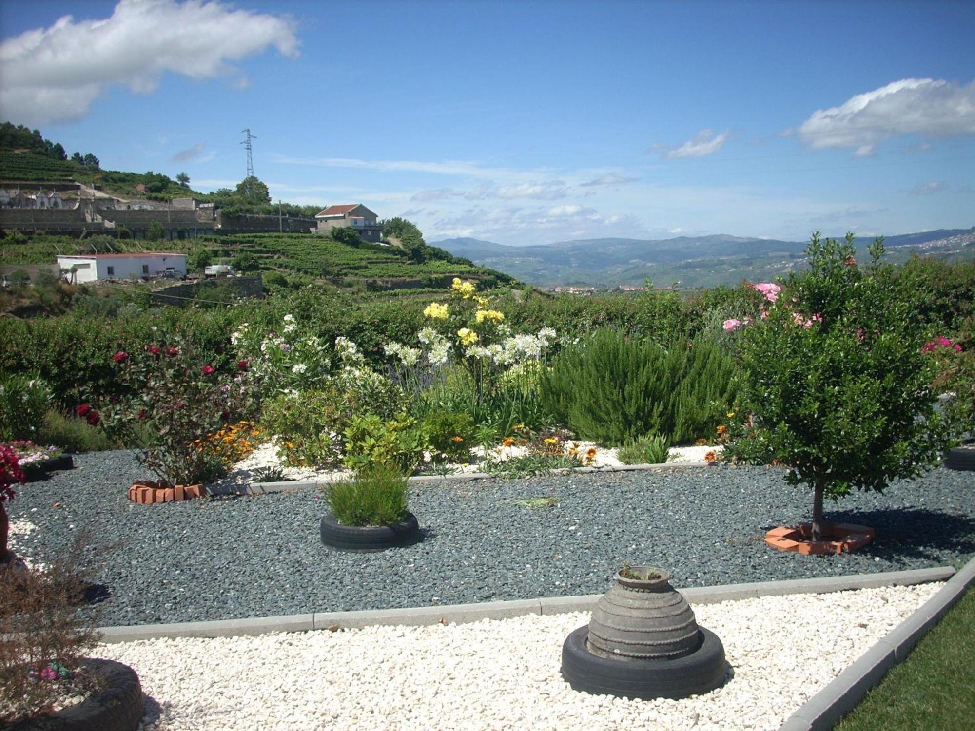 Casa Da Jesus Villa Provesende Buitenkant foto